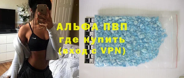 сатива Гусиноозёрск
