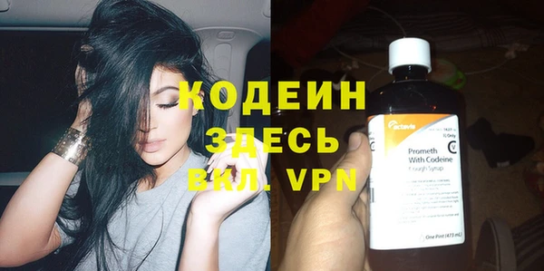 ешки Гусев