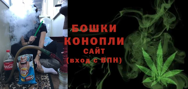 спайс Гусь-Хрустальный
