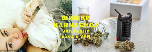 спайс Гусь-Хрустальный