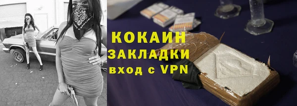 спайс Гусь-Хрустальный