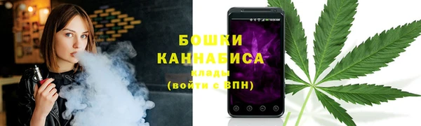 сатива Гусиноозёрск
