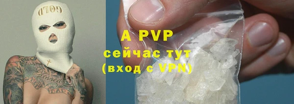 сатива Гусиноозёрск