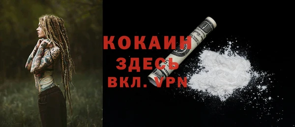 ешки Гусев