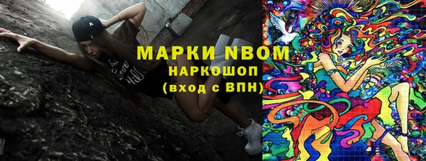 сатива Гусиноозёрск