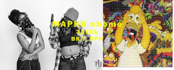 сатива Гусиноозёрск
