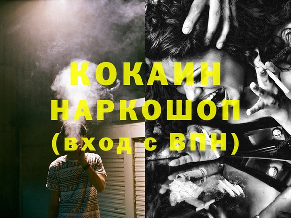 спайс Гусь-Хрустальный