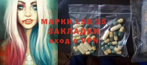 ешки Гусев
