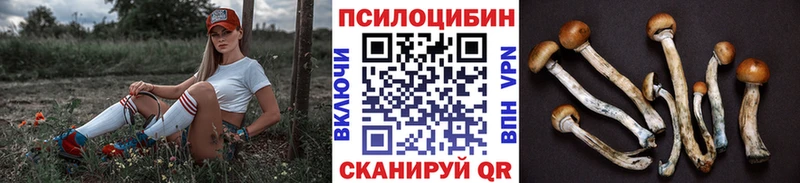 Псилоцибиновые грибы Psilocybine cubensis дарнет шоп Шиханы